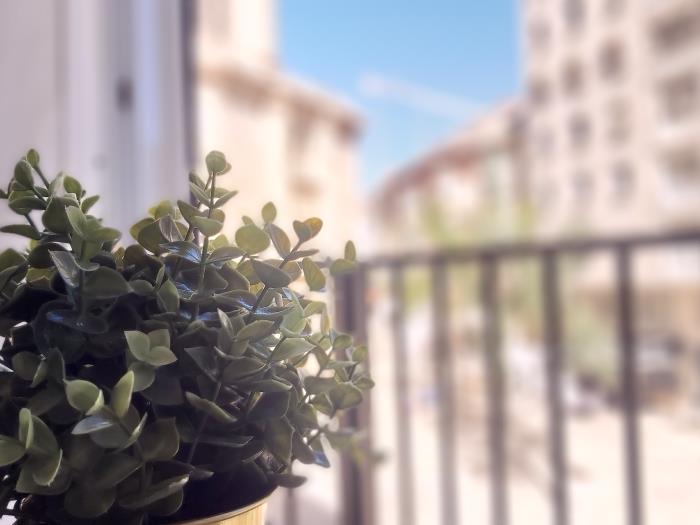 DelParque Flats
